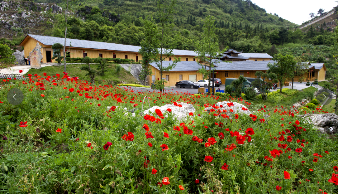 湖南旅游開發(fā)公司,懷化旅游開發(fā)公司,懷化峽谷探幽,懷化石林花山植物園